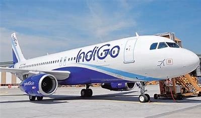 indigo